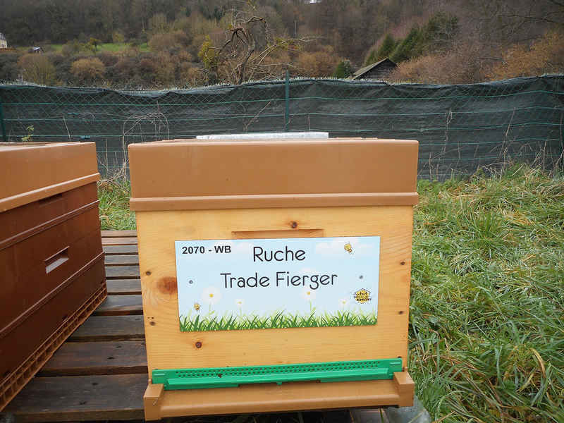 La ruche Trade Fierger